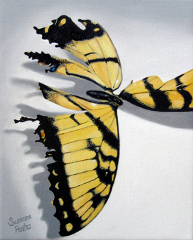 Contemplation: Remembering the Wind by Susanna Pantas